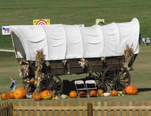 Northern Illinois and Southern Wisconsin pumpkin patches offer family adventures